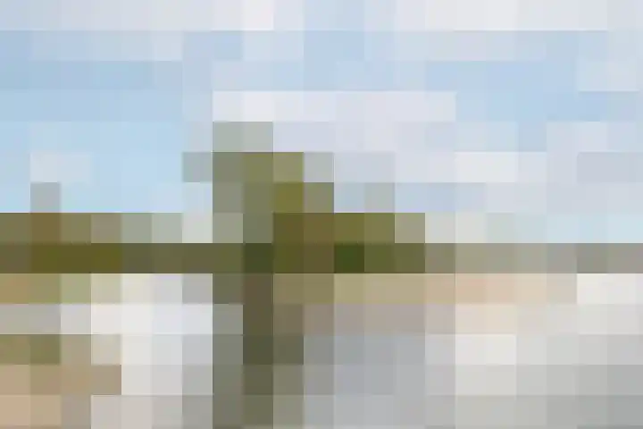Steppemeer 21 Houten thumbnail 59