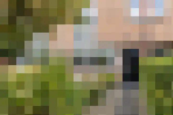 Steppemeer 21 Houten thumbnail 6