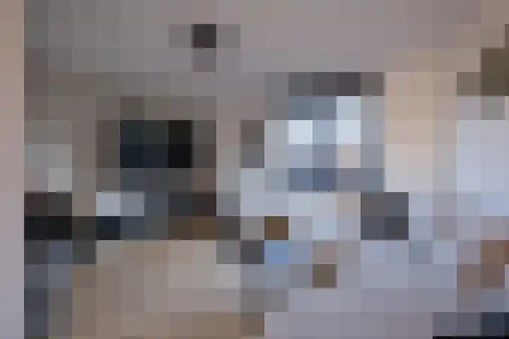 Steppemeer 5 Houten foto 3