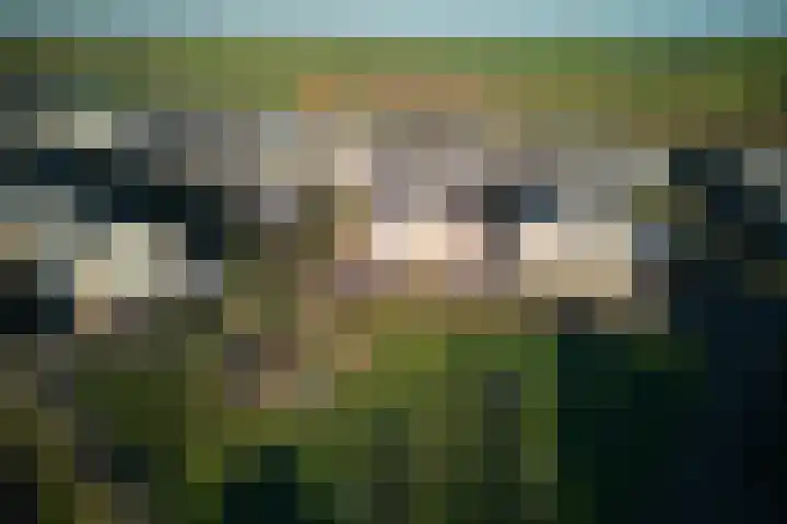 Steppemeer 5 Houten thumbnail 31