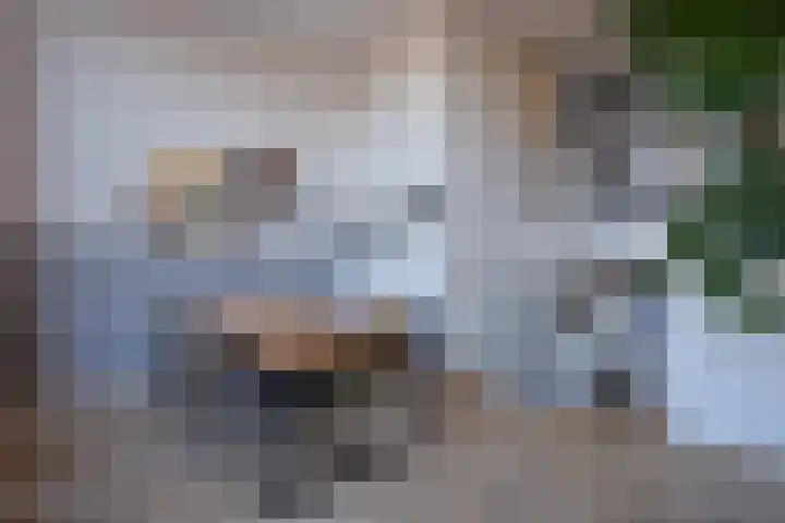 Steppemeer 5 Houten thumbnail 7