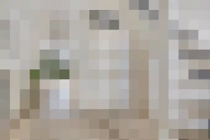 Steppestraat 16 Purmerend thumbnail 8