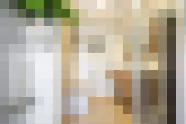 Steppestraat 2 Purmerend thumbnail 31