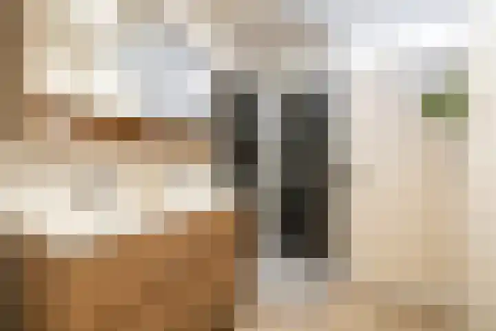 Steppestraat 2 Purmerend thumbnail 33