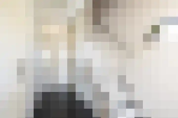 Steppestraat 2 Purmerend thumbnail 34