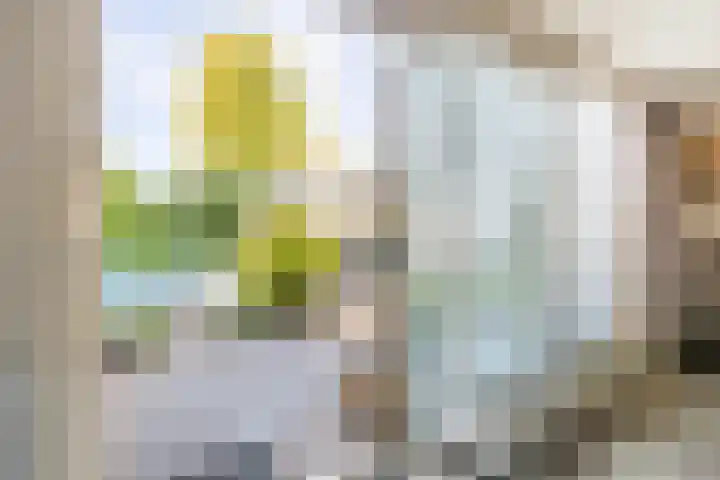 Steppestraat 2 Purmerend thumbnail 41