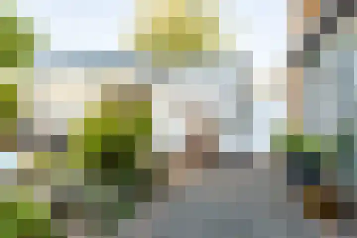 Steppestraat 2 Purmerend thumbnail 43