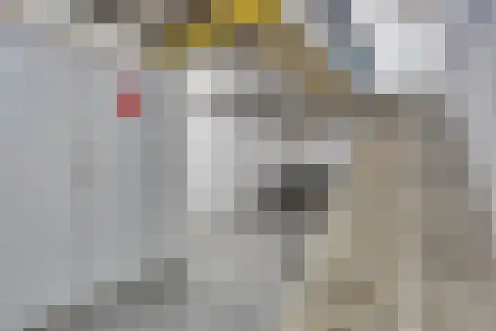 Steppestraat 2 Purmerend thumbnail 5