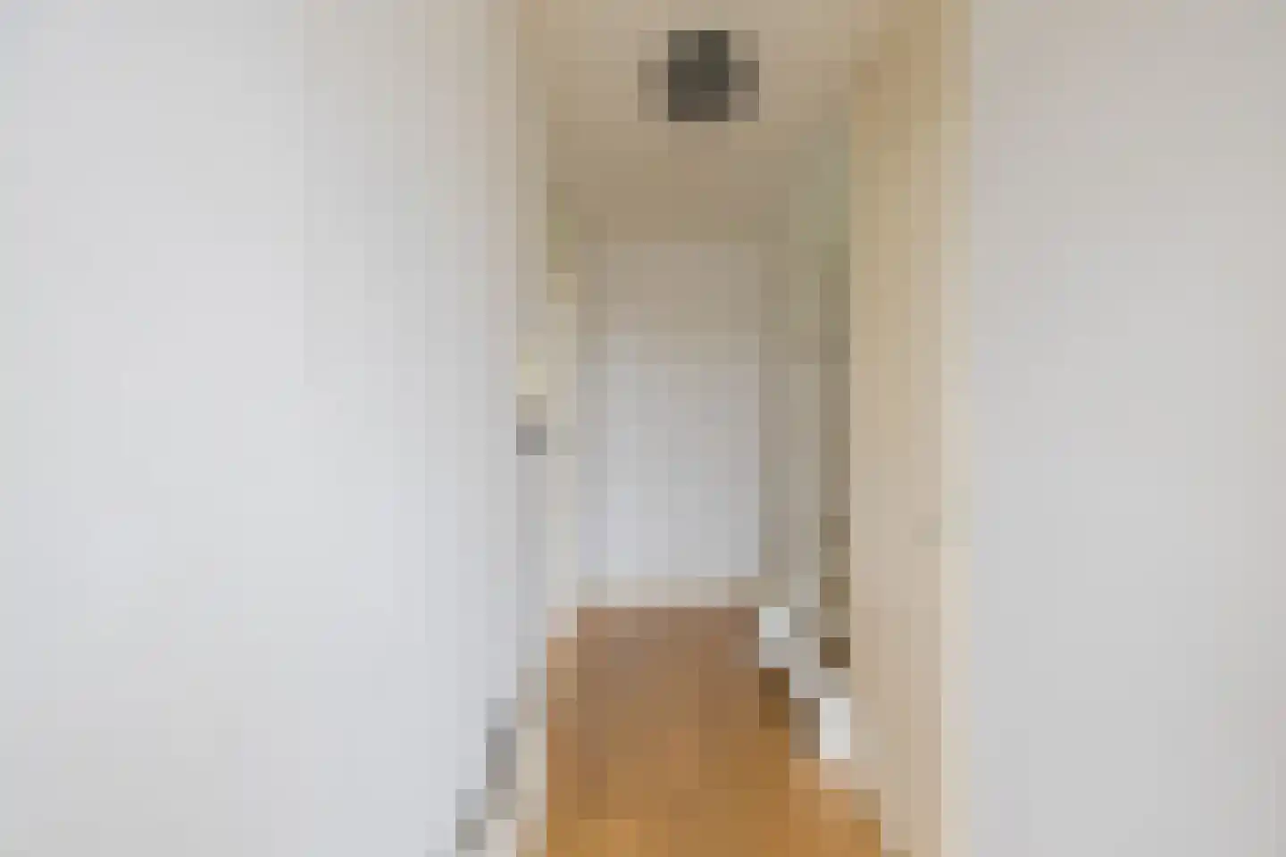 Ster Bastion 12 Velserbroek thumbnail 6