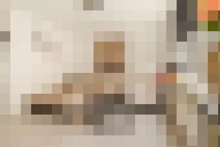 Ster Bastion 18 Velserbroek thumbnail 20