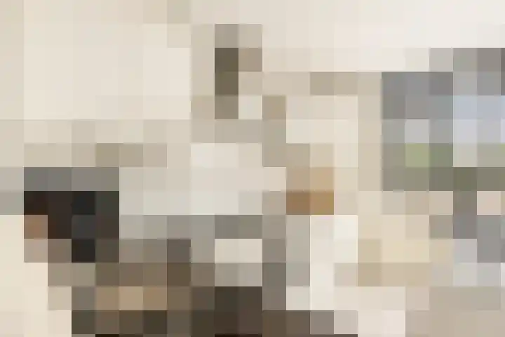 Ster Bastion 18 Velserbroek thumbnail 25