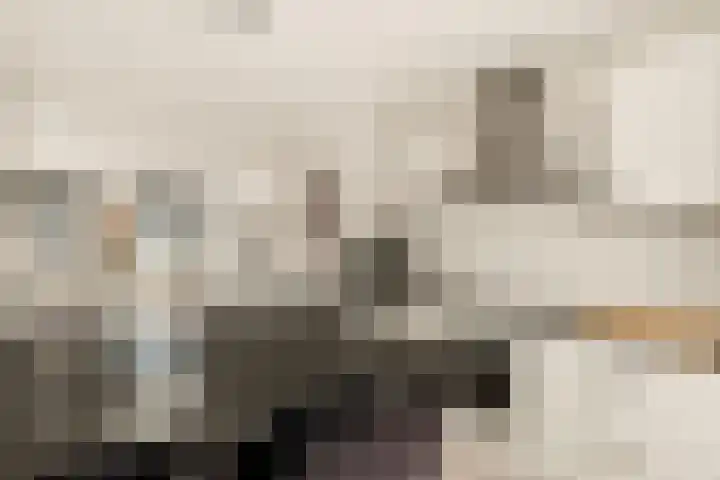 Ster Bastion 18 Velserbroek thumbnail 28