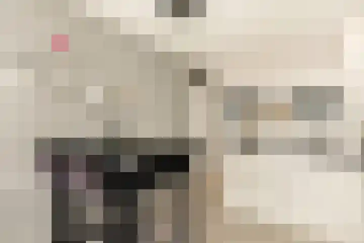 Ster Bastion 18 Velserbroek thumbnail 30