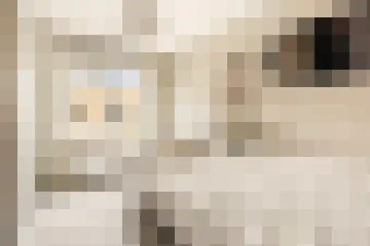 Ster Bastion 18 Velserbroek thumbnail 32