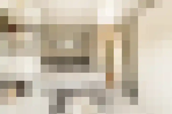 Ster Bastion 18 Velserbroek thumbnail 34