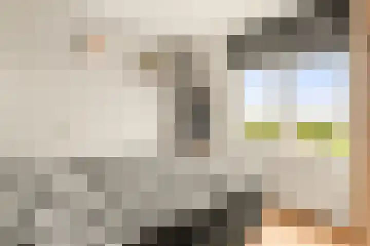 Ster Bastion 18 Velserbroek thumbnail 35