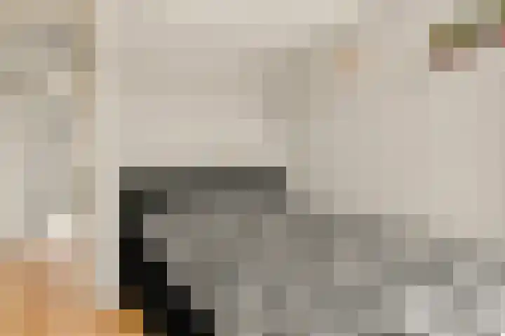 Ster Bastion 18 Velserbroek thumbnail 37