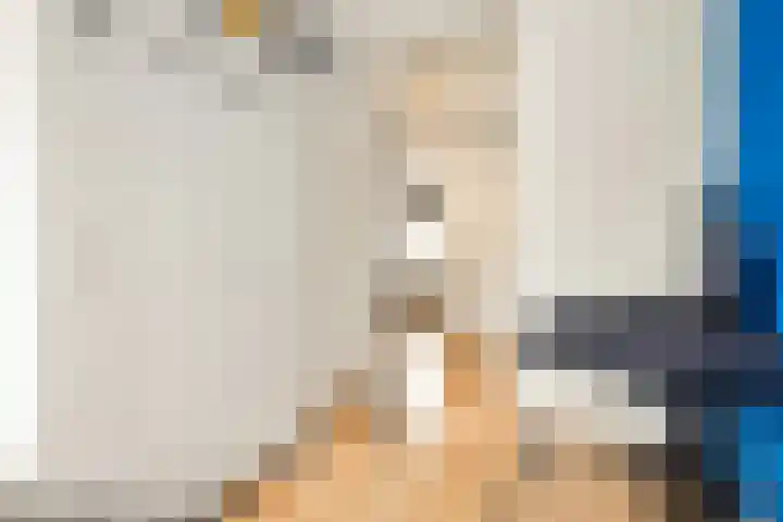 Ster Bastion 18 Velserbroek thumbnail 39