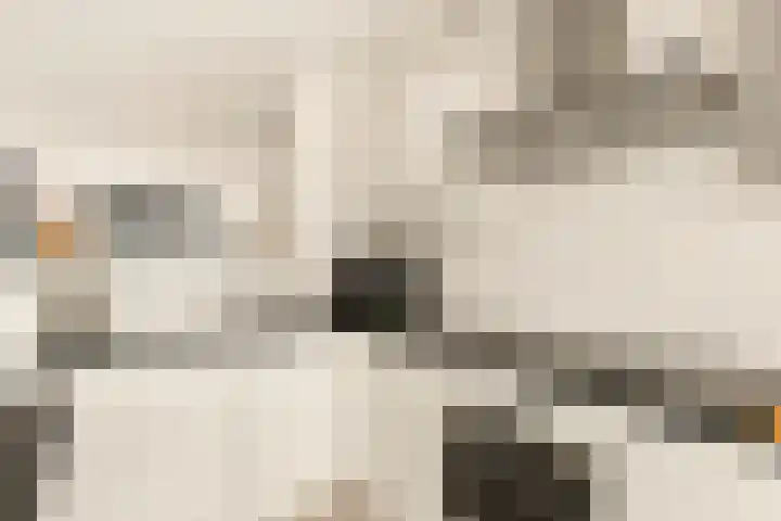 Ster Bastion 18 Velserbroek thumbnail 4