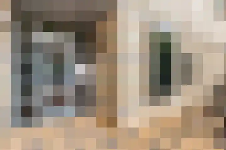 Ster Bastion 18 Velserbroek thumbnail 6