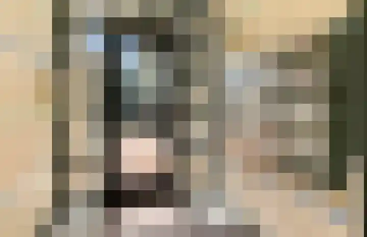 Ster Bastion 18 Velserbroek thumbnail 7