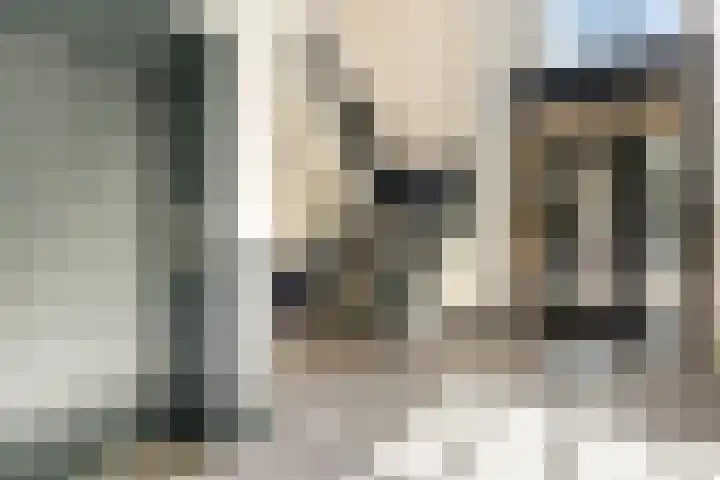 Ster Bastion 18 Velserbroek thumbnail 8