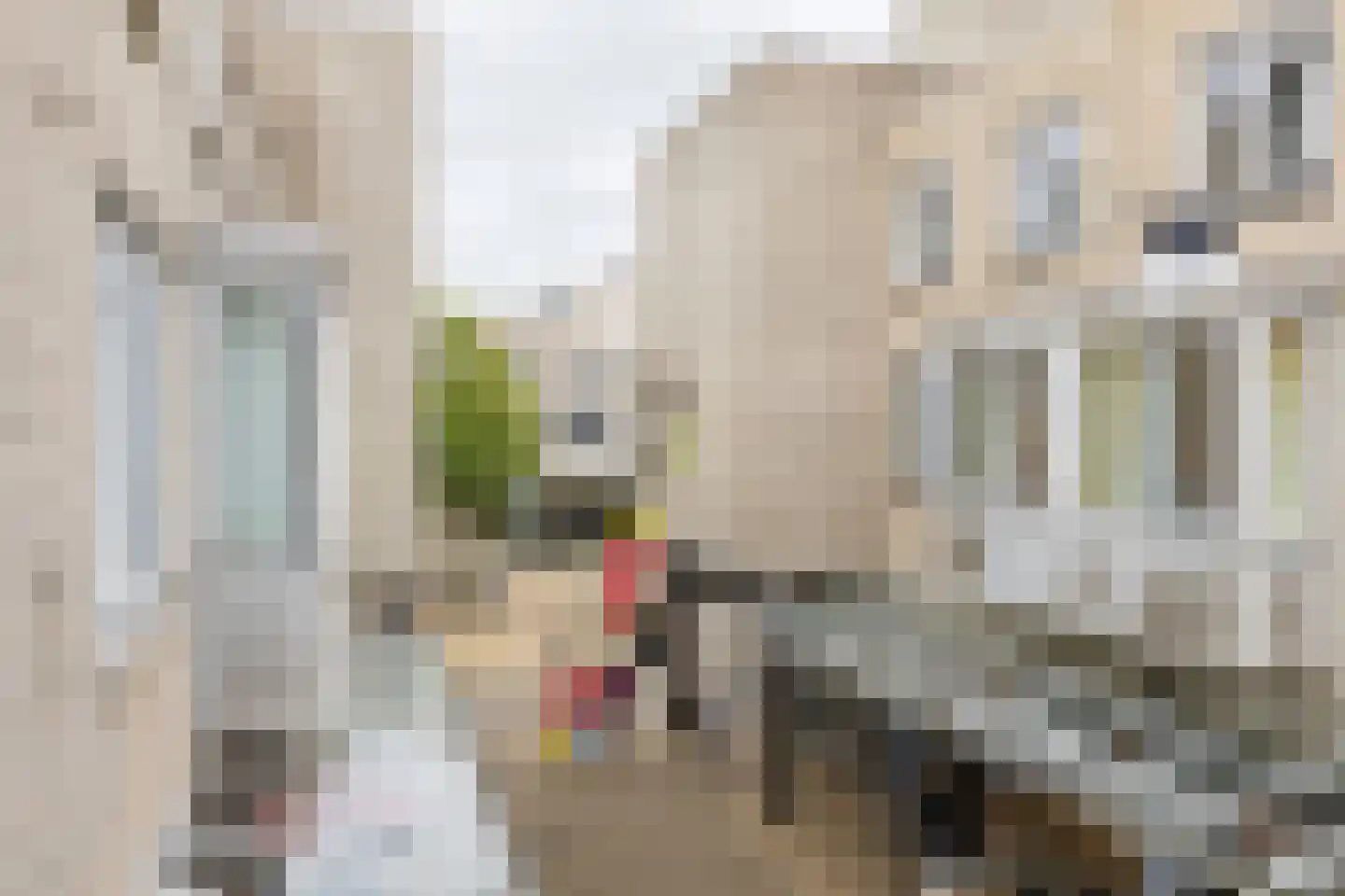 Ster Bastion 22 Velserbroek thumbnail 17