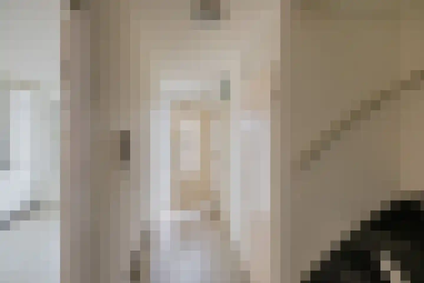 Ster Bastion 22 Velserbroek thumbnail 4