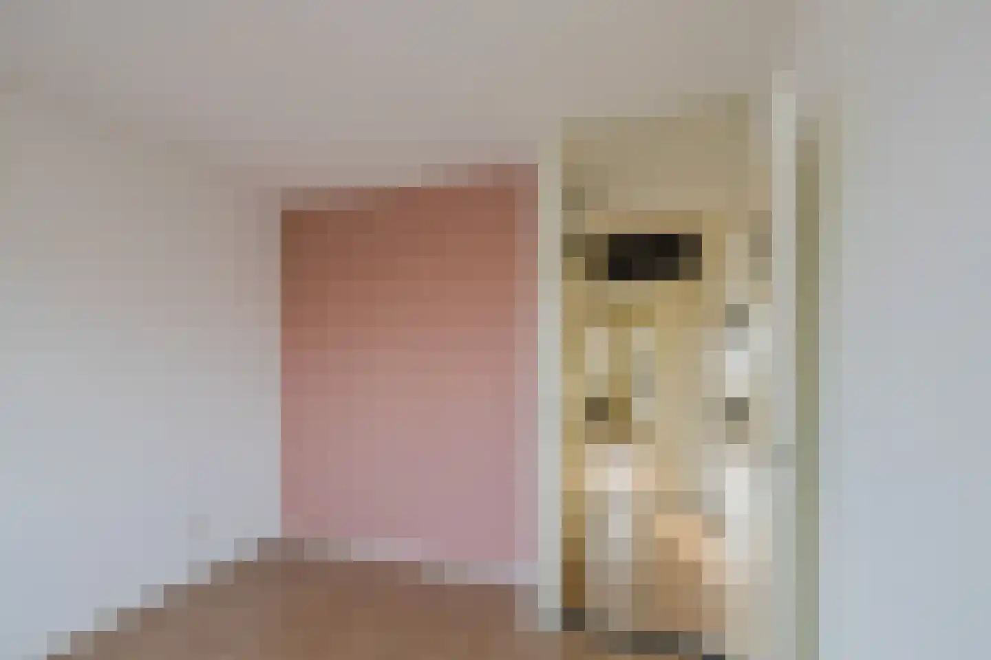 Ster Bastion 35 Velserbroek thumbnail 22