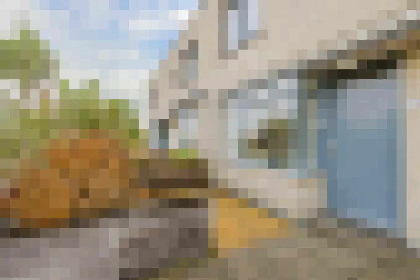 Ster Bastion 35 Velserbroek thumbnail 5