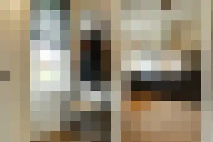Sterakkers 15 Hoogeloon thumbnail 11