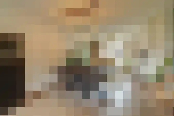 Sterakkers 15 Hoogeloon thumbnail 12