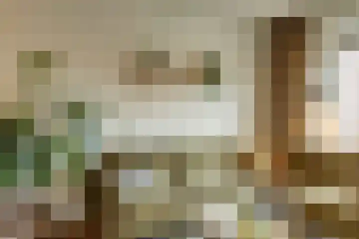 Sterakkers 15 Hoogeloon thumbnail 15