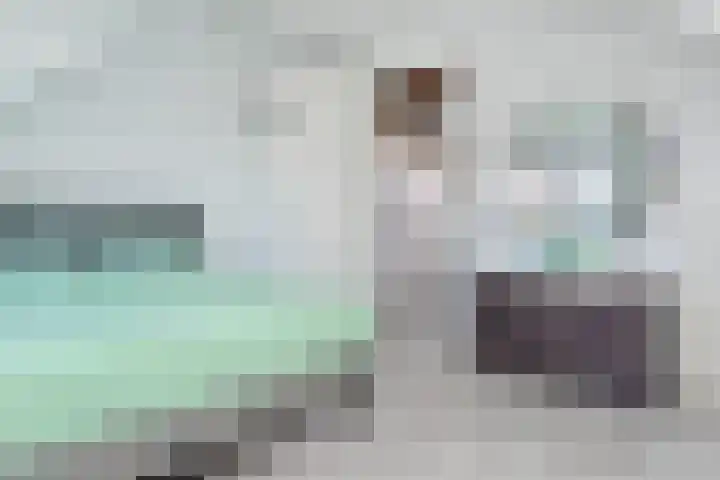 Sterakkers 15 Hoogeloon thumbnail 18