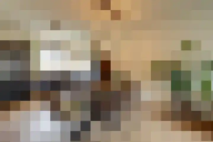 Sterakkers 15 Hoogeloon thumbnail 18