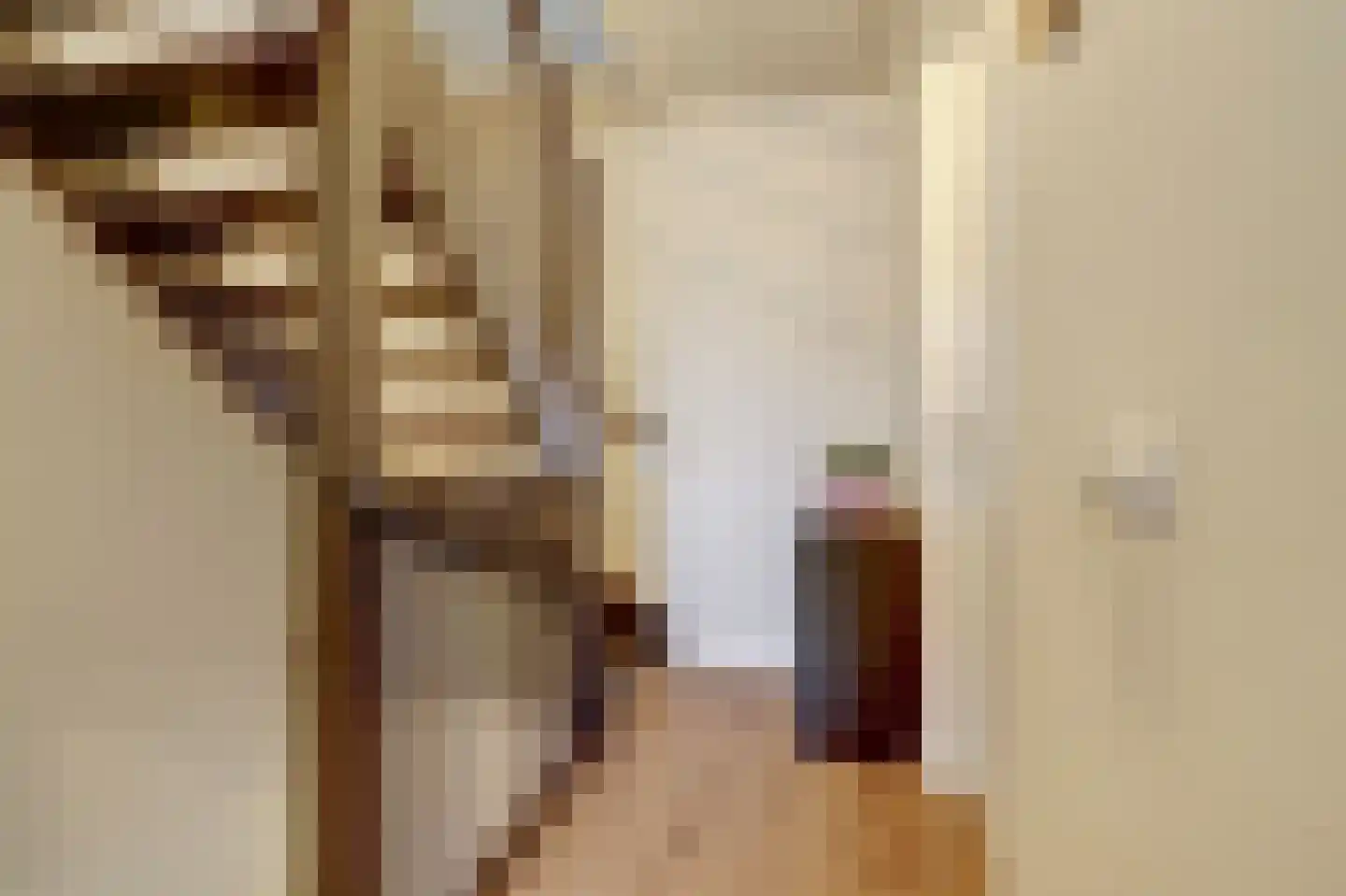 Sterakkers 15 Hoogeloon thumbnail 25