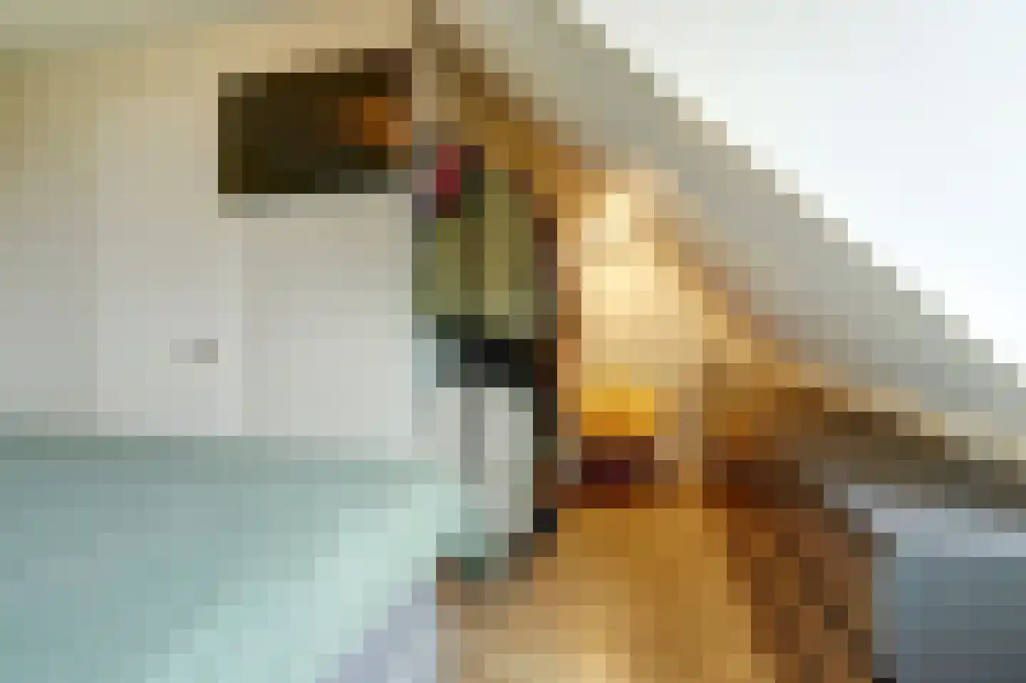 Sterakkers 15 Hoogeloon thumbnail 27