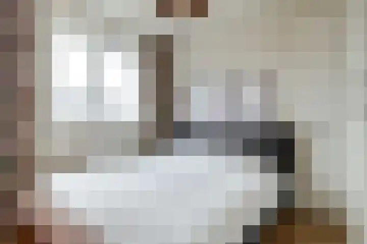 Sterakkers 15 Hoogeloon thumbnail 30