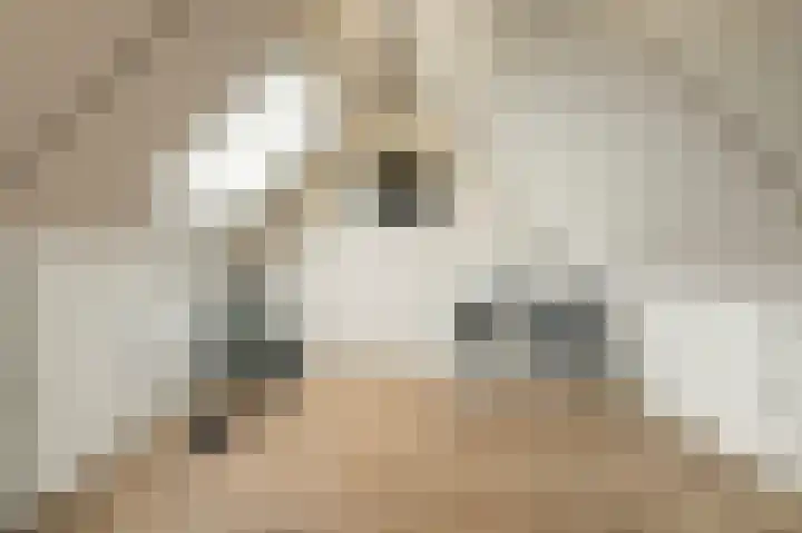 Sterakkers 15 Hoogeloon thumbnail 34
