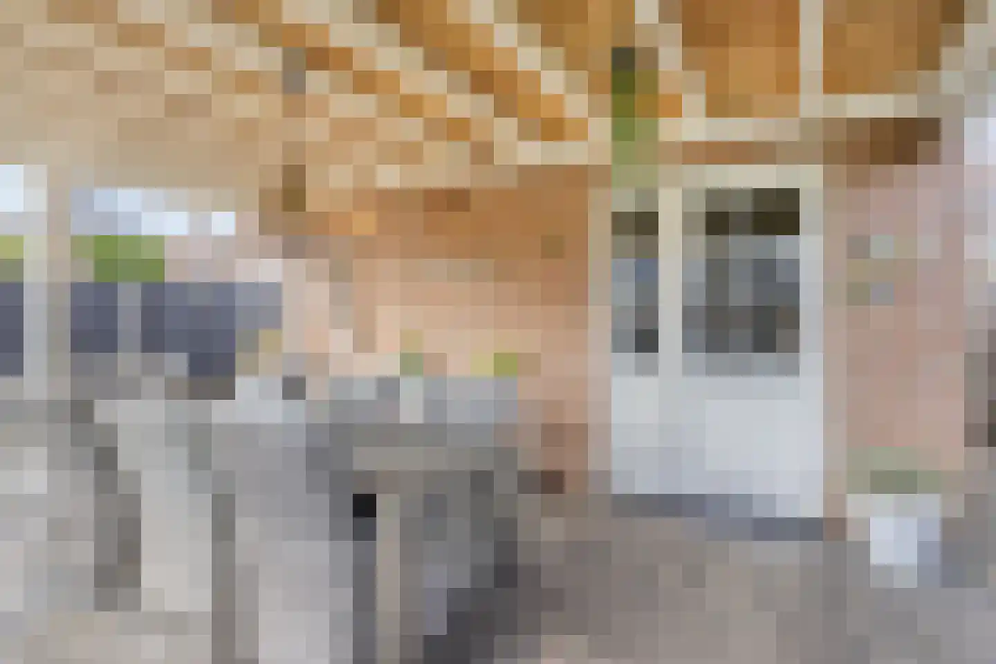 Sterakkers 15 Hoogeloon thumbnail 46