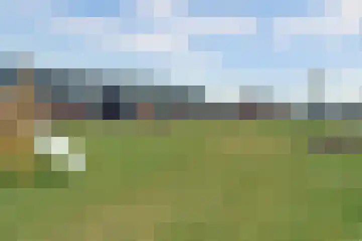 Sterakkers 15 Hoogeloon thumbnail 46