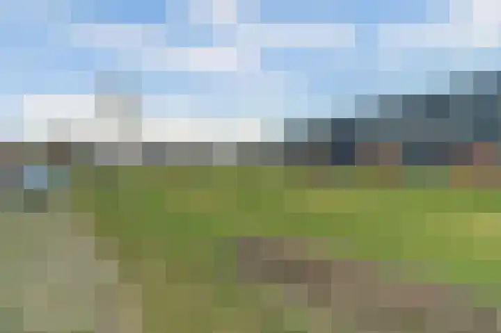 Sterakkers 15 Hoogeloon thumbnail 47