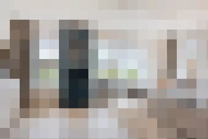 Sterakkers 15 Hoogeloon thumbnail 7