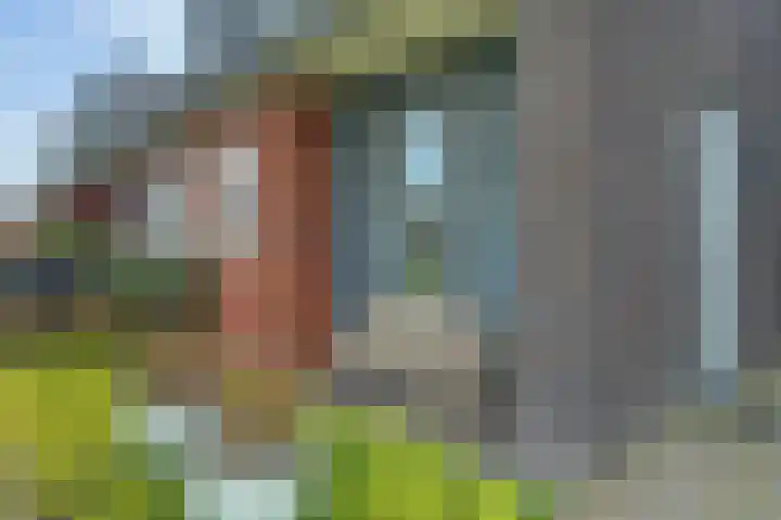 Sterakkers 15 Hoogeloon thumbnail 8