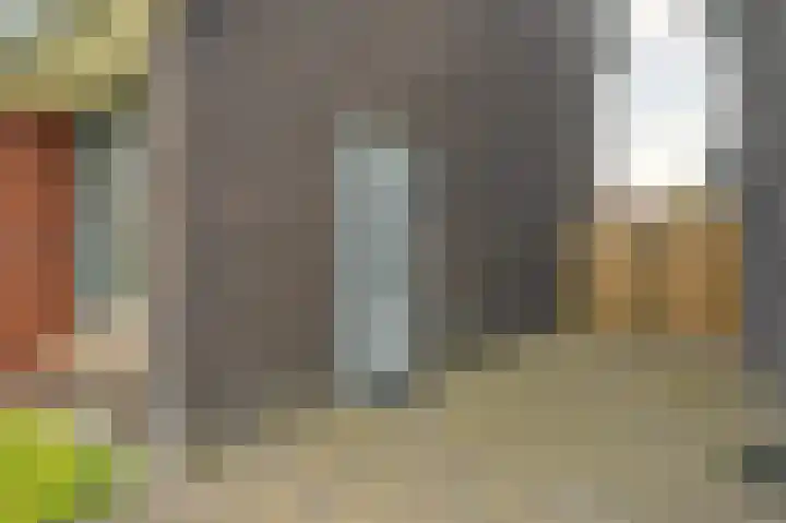 Sterakkers 15 Hoogeloon thumbnail 9