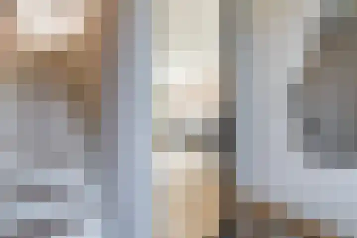 Sterakkers 17 Hoogeloon thumbnail 8