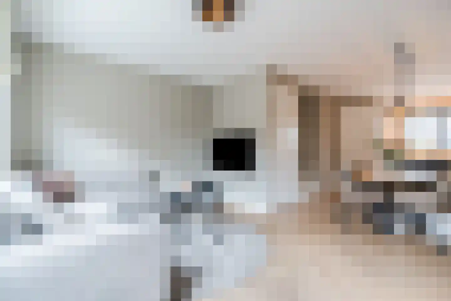 Sterakkers 30 Hoogeloon thumbnail 13