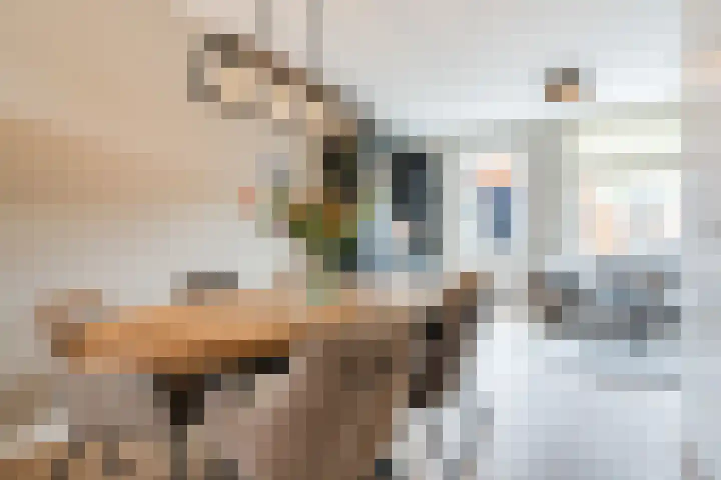 Sterakkers 30 Hoogeloon thumbnail 19
