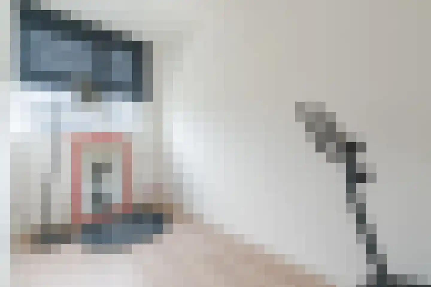 Sterakkers 30 Hoogeloon thumbnail 26