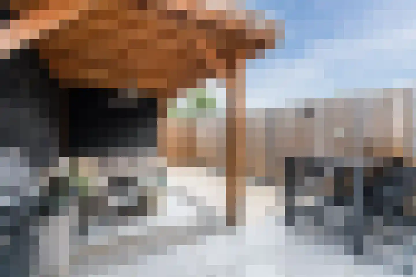 Sterakkers 30 Hoogeloon thumbnail 33